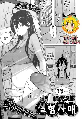 [Sanagi Torajiro] Jikken Shimai (COMIC Megastore Alpha 2014-12) [Korean] [Team EDGE] cover