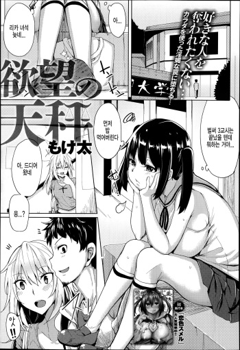 [Moketa] Yokubou no Tenbin (COMIC Anthurium 016 2014-08) [Korean] cover