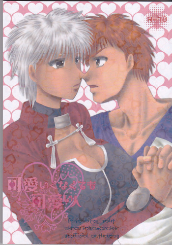 (C86) [Dawn (Various)] Kawaiku Nakute mo Kawaii Hito (Fate/stay night) cover