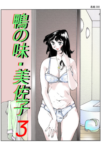 [Katanashi Apollo] Kamo no Aji - Misako 3 [Korean] [Digital] cover