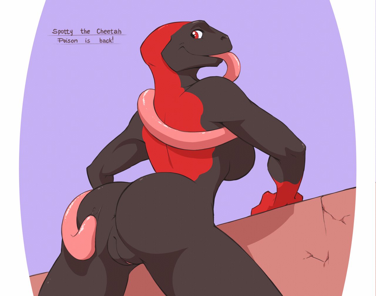 Amphibians page 2 full