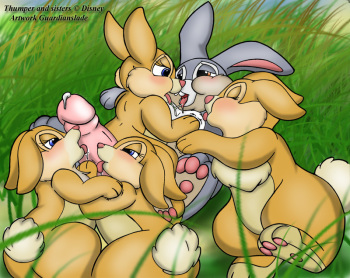 Thumper's Harem cover