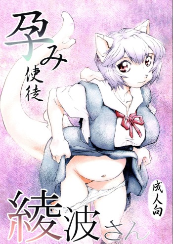(SC40) [Studio Parfe (Dohi Kensuke)] Harami Shito Ayanami-san (Neon Genesis Evangelion) cover