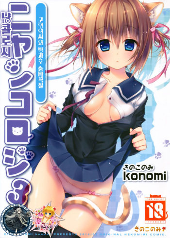 (Mimiket 30) [KINOKONOMI (konomi)] Nyancology 3 -Nekota-san To Houkago kakurenbo- [Korean] [WestVatican] cover