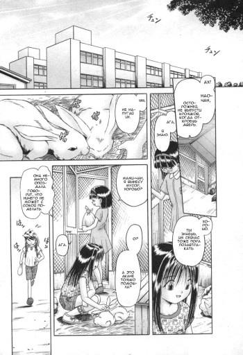 [Bow Rei] Himitsu no Hanazono Ch. 1 (COMIC XO 2006-09) [Russian] [minkinslava, Илион] cover