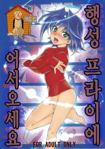 (SUPER21) [Kitsune (Tachikawa Negoro)] Wakusei Play e Youkoso (Cardfight!! Vanguard) [Korean] cover