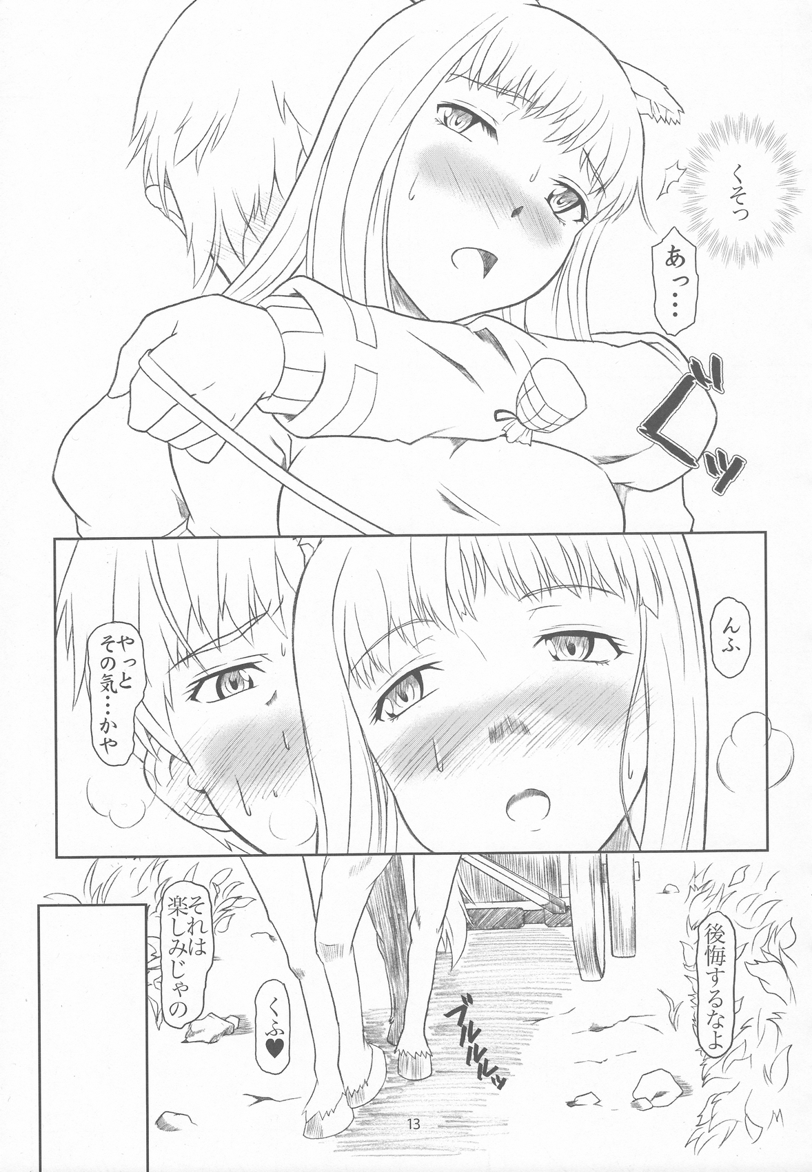 OoKami to Kodoku na Shippo page 12 full