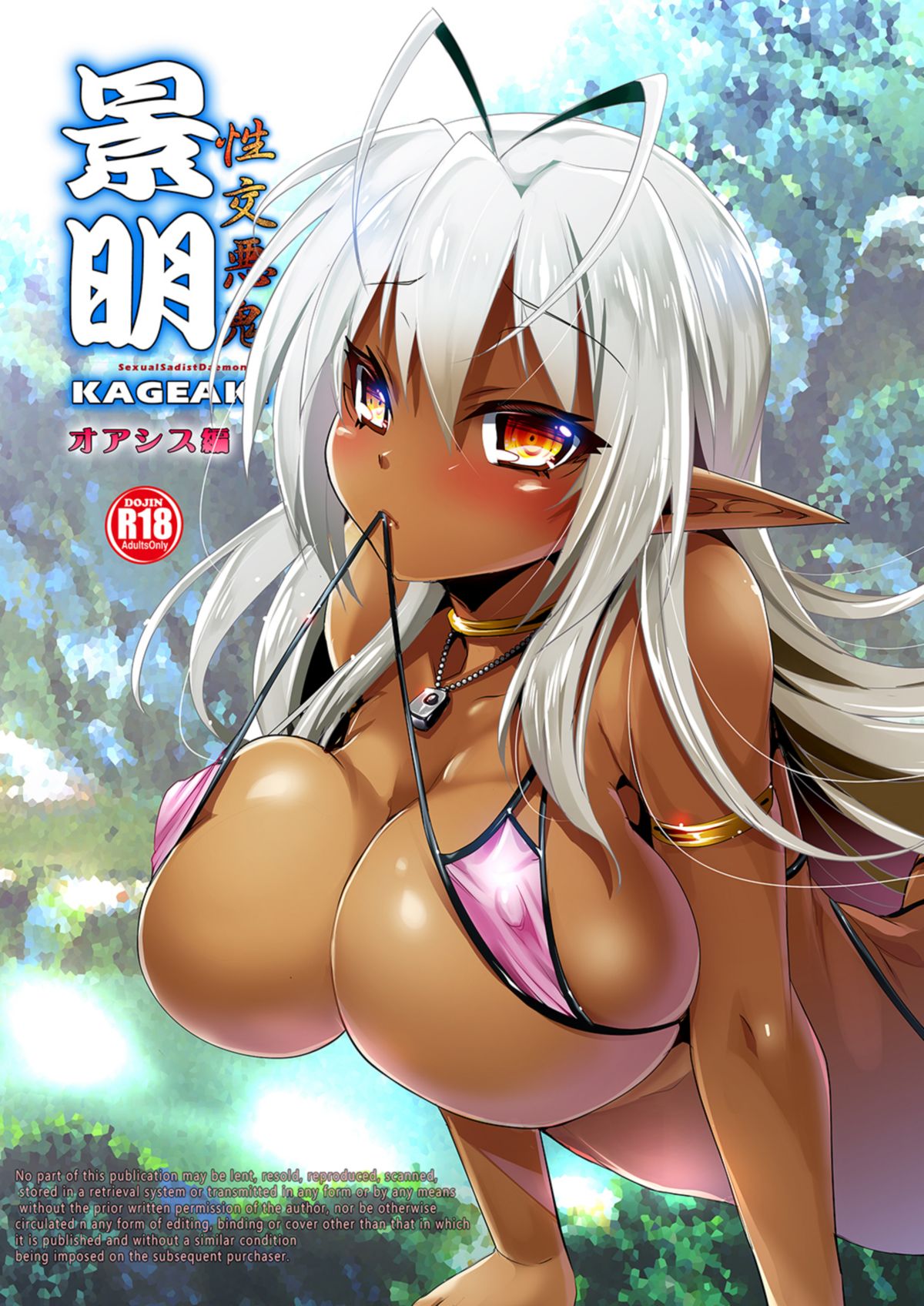 Seikou Akki Kageaki Oasis Hen page 1 full