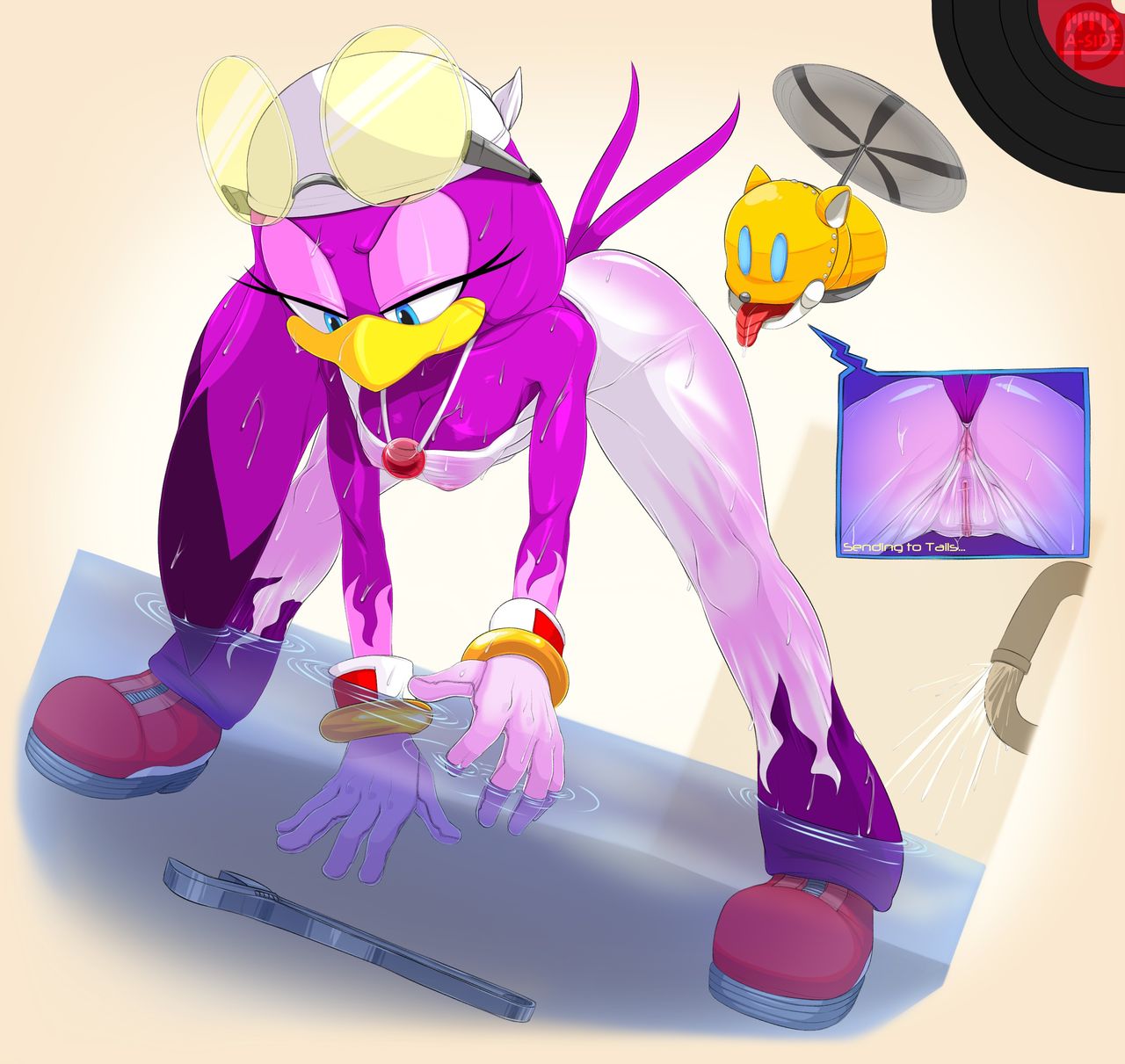 Sanic and the Erotic Pin-ups page 4 full