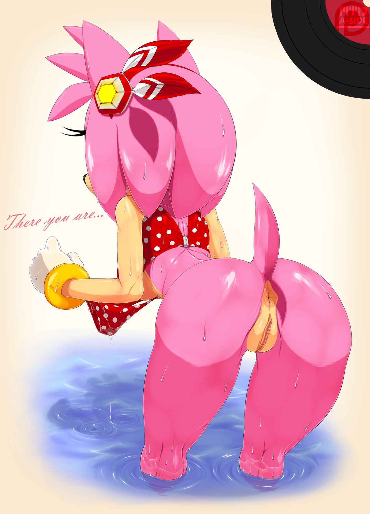 Sanic and the Erotic Pin-ups page 9 full
