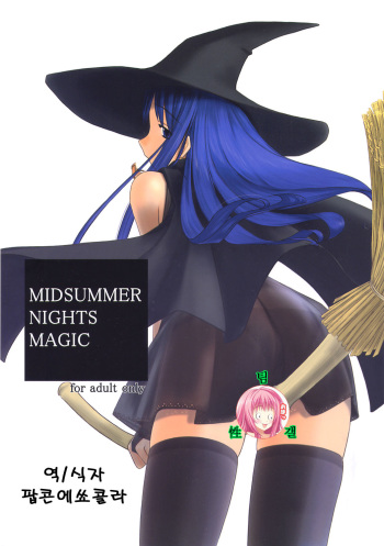 (C64) [Tear Drop (tsuina)] MIDSUMMER NIGHTS MAGIC (ToHeart) [Korean] cover