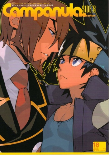 (C84) [Article 60 of Criminal Code (Shuhan)] Campanula.SIDE:B (Shinrabanshou Choco) cover