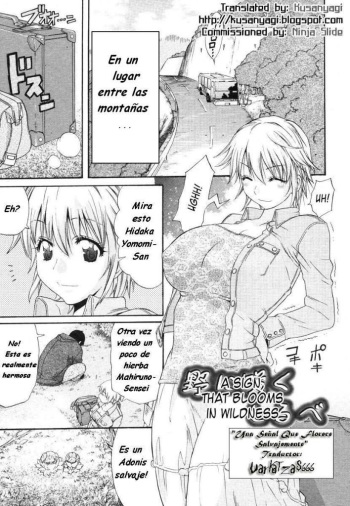 [Amatarou] No ni Saku Shirube (COMIC Megastore 2006-07) [Spanish] {Varkatzas666} [Decensored] cover