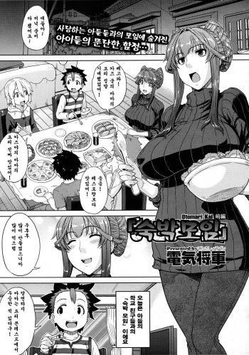 [Denki Shougun] Otomarikai [Korean] cover