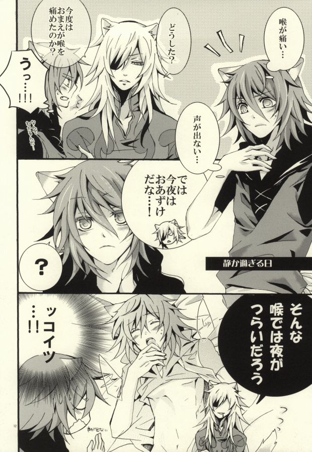 SIROP page 11 full