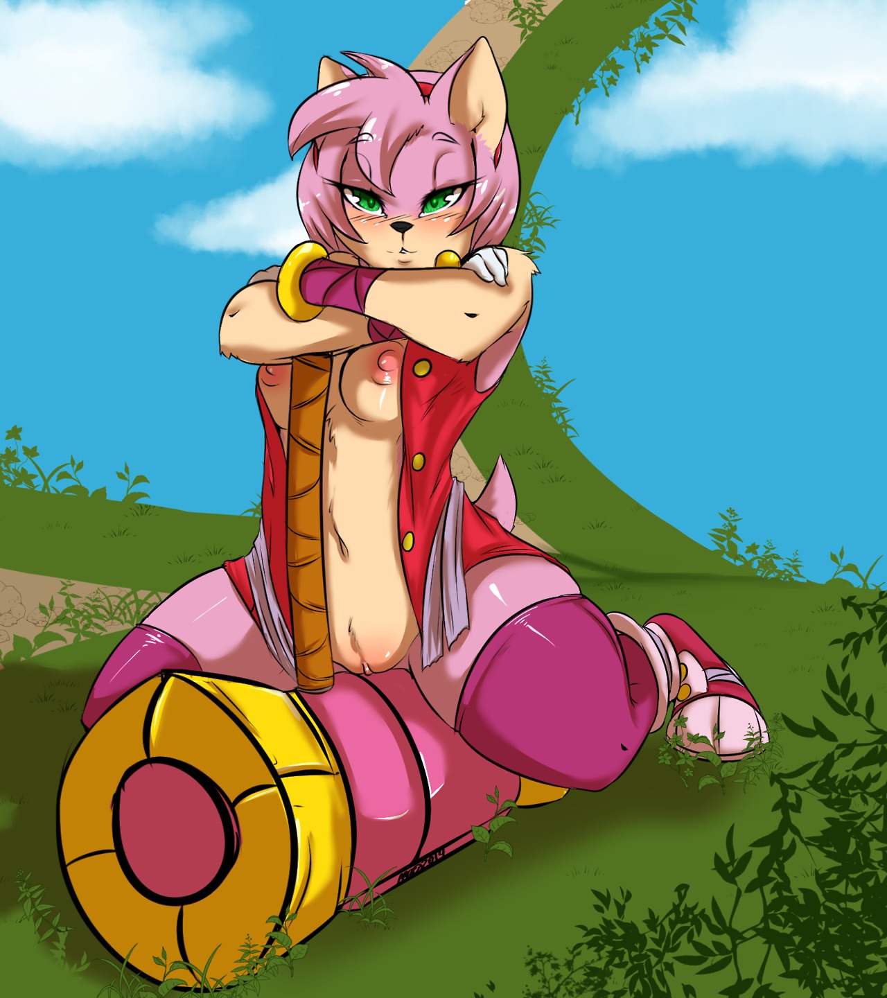 Amy Rose page 2 full