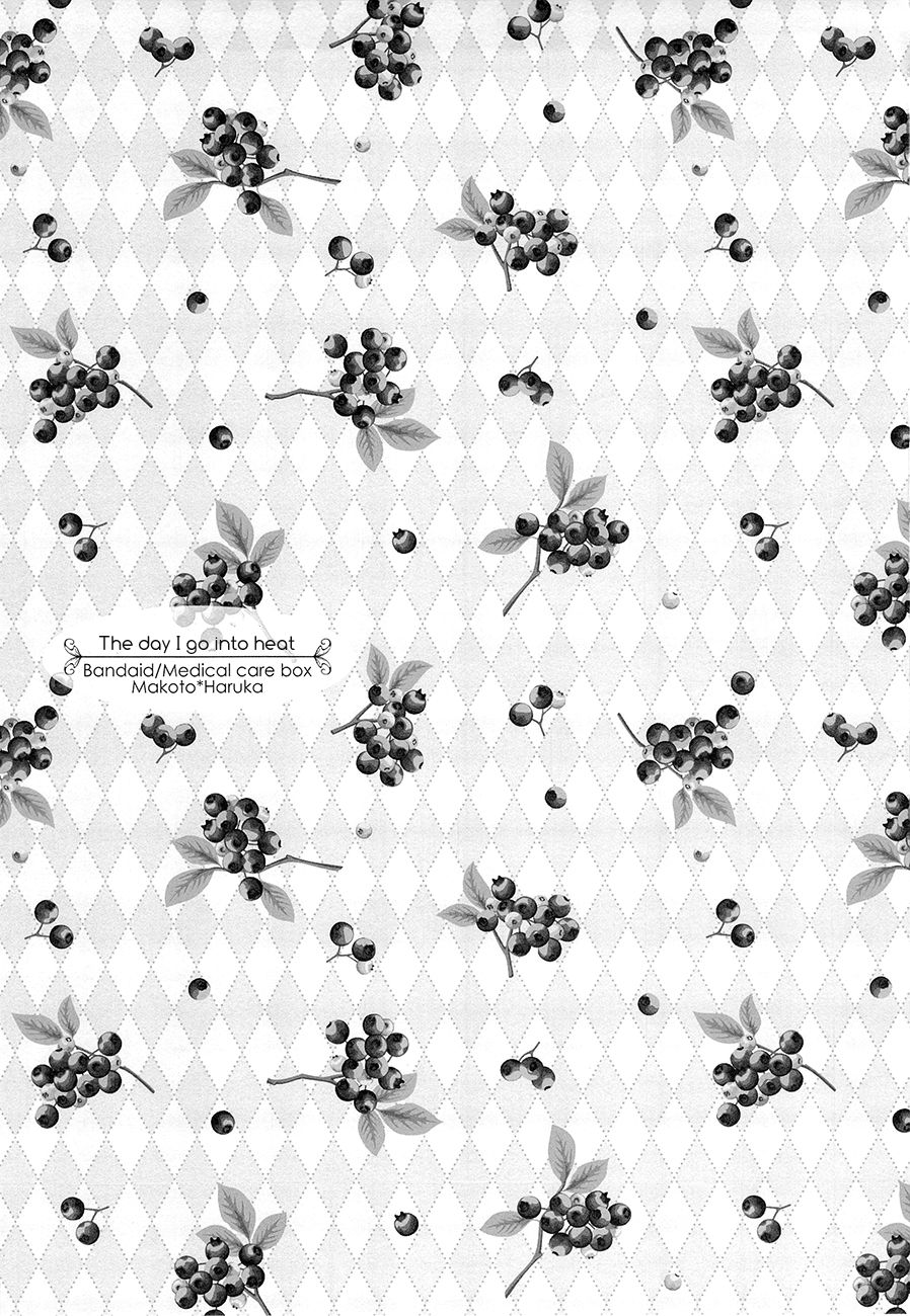 Hatsujou suru Hi page 2 full