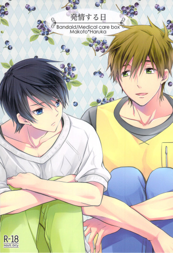 (SPARK8) [Kyuukyuubako (Bandaid)] Hatsujou suru Hi (Free!) [English] [Baka Dumb Aho Scans] cover