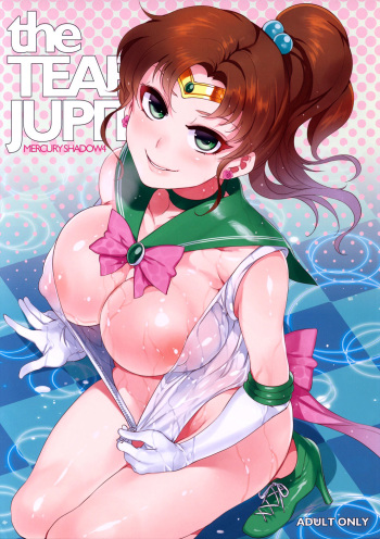 (C85) [Alice no Takarabako (Mizuryu Kei)] the TEARS of JUPITER: MERCURY SHADOW 4 (Bishoujo Senshi Sailor Moon) [Russian] {Mamoru} cover