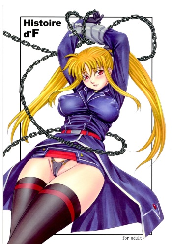 (COMIC1☆3) [Soreya (Nishitsuki Tsutomu)] Histoire d'F (Mahou Shoujo Lyrical Nanoha) cover