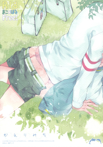 (C85) [ABee (Hachi Fujiko)] Kaerimichi (Free!) cover