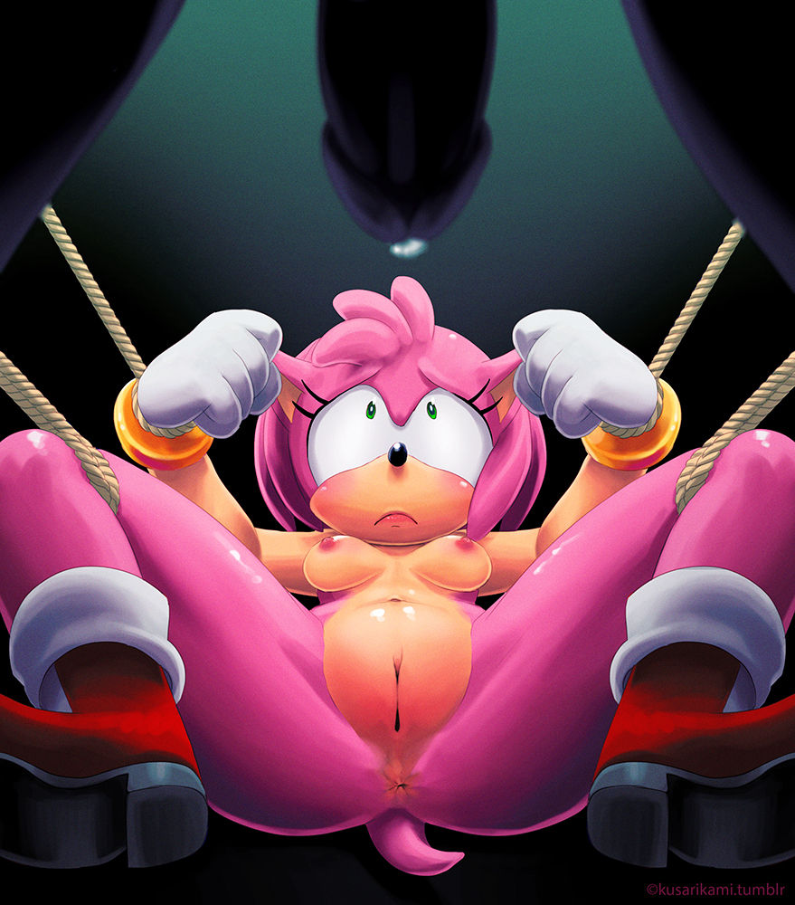 Amy Rose HQ page 2 full