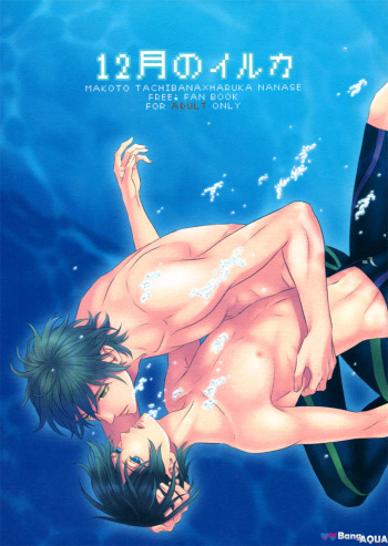 [Garakuta (Serizawa Kaname)] 12-gatsu no Iruka | December Dolphin (Free!) [English] cover