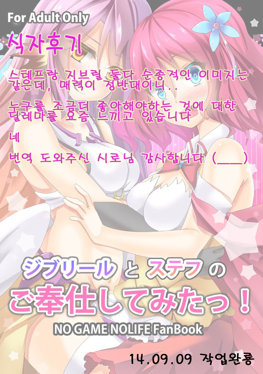【C86新刊】ノゲノラの薄い本【ジブリ&ステフ】 no game no life sample page 6 full