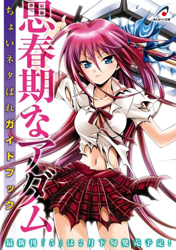 Shishunki na Adam Choi Netabare Guidebook (a bit spoilerish guidebook) cover