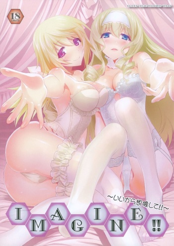 (COMIC1☆8) [Bloody Okojo (Mojyako, Caviar)] IMAGINE!! ~Iikara Souzou Shite!!~ (IS <Infinite Stratos>) cover
