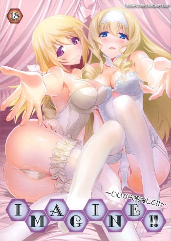 (COMIC1☆8) [Bloody Okojo (Mojyako, Caviar)] IMAGINE!! ~Iikara Souzou Shite!!~ | IMAGINE!!! ~Hurry Up and Imagine It!!~ (IS <Infinite Stratos>) [English] [Life4Kaoru + Rapidswitch] cover