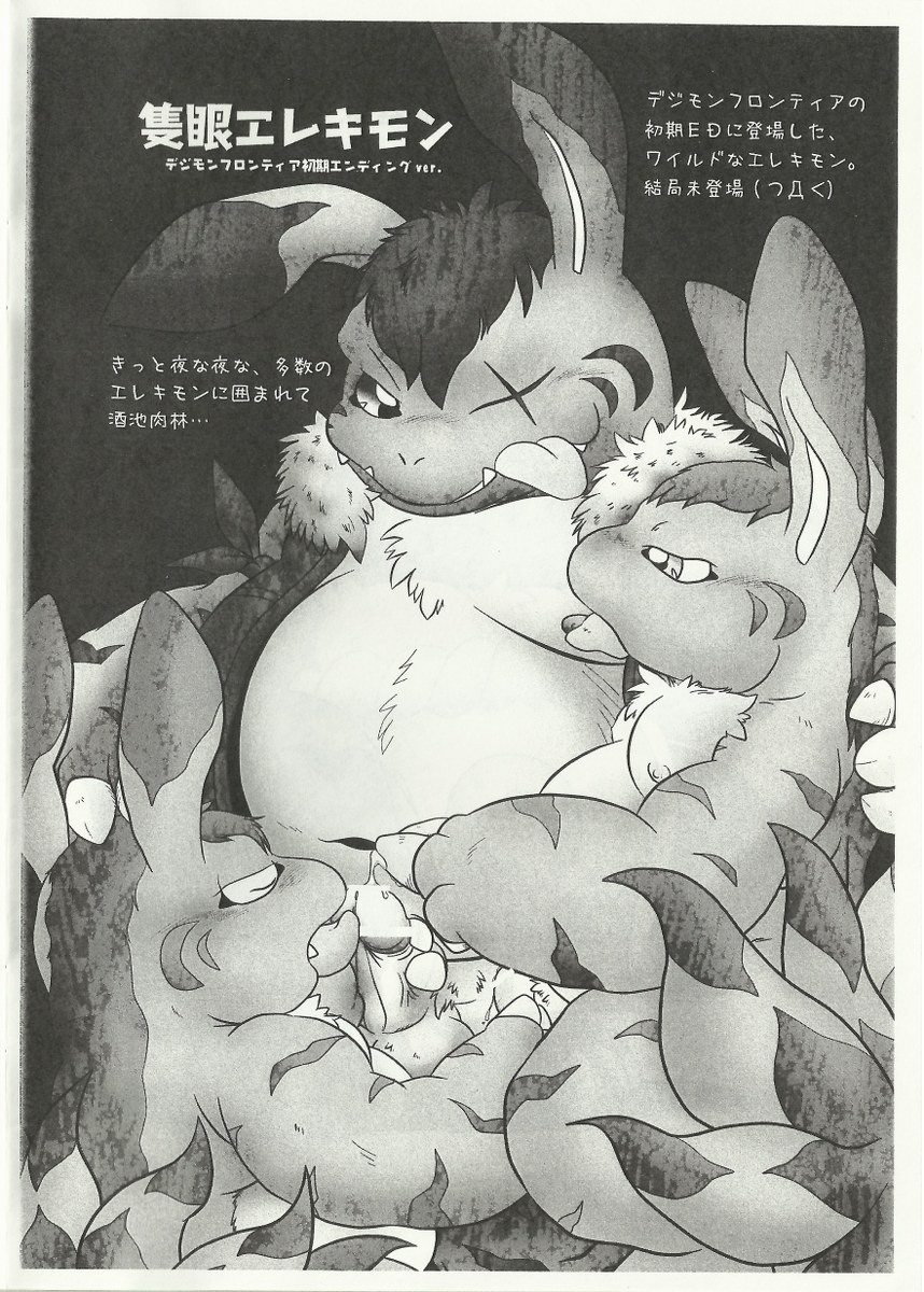 Digiyome page 3 full