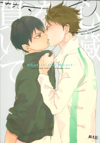 (SPARK8) [Ousama no Guntai (Mamizo)] Shinzo o tsuranuite (Haikyuu!!) cover