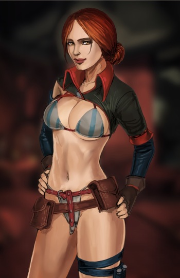 The Witcher cover