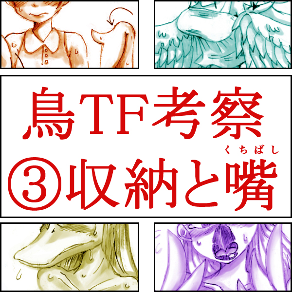 Tori TF ni Kansuru Kousatsu to Renshuu page 11 full
