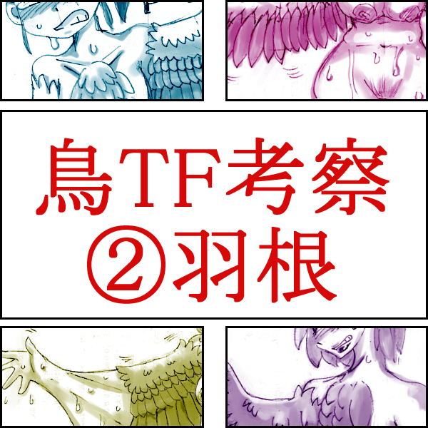 Tori TF ni Kansuru Kousatsu to Renshuu page 6 full