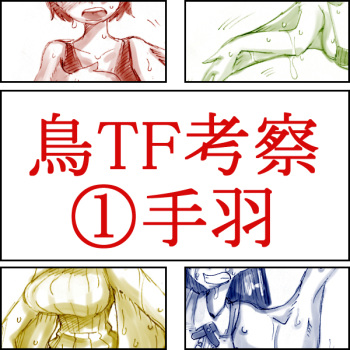 [Koganemushi] Tori TF ni Kansuru Kousatsu to Renshuu cover
