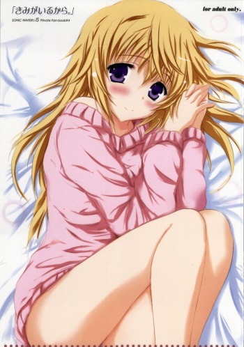 (C86) [SONIC WINTER (Tsukishima Kai)] Kimi ga Iru kara (IS <Infinite Stratos>) [Incomplete] cover