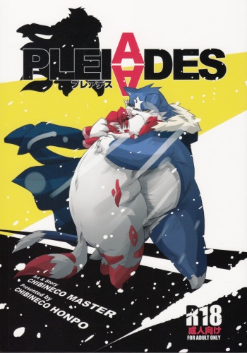(C86) [Chibineco Honpo (Chibineko Master)] PLEIADES cover