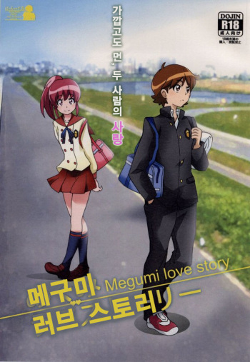 (SC65) [Hacchakesou (PONPON)] Megumi Love Story (HappinessCharge Precure!) [Korean] cover