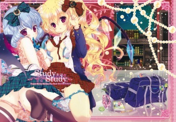 (Reitaisai 10) [Setoran (Itou Seto, Tanno Ran)] Study Study (Touhou Project) cover