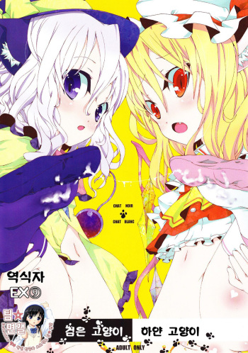 (Reitaisai 7) [gutterflower (TM)] Kuro Neko Shiro Neko (Touhou Project) [Korean] cover