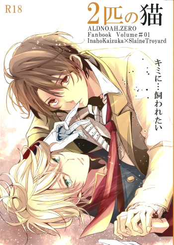 (SPARK9) [Shiroan (Runa)] 2-hiki no Neko (Aldnoah.Zero) cover
