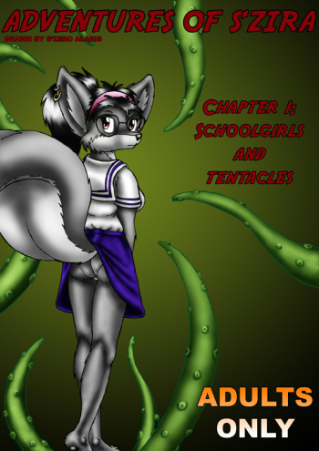Adventures of S'Zira cover