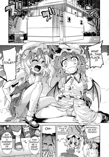 (Reitaisai 9) [Yumemigokoti, Youmusya (Mikage Baku, Gengorou)] Koushuu Benjo (Touhou Project) [English] cover
