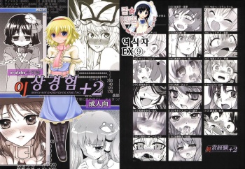 (C77) [Reborn (Various)] Ijou Keiken +2 (Touhou Project) [Korean] {팀 면갤} cover