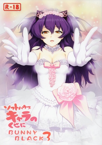(C86) [Tamatebako (Sasaki Tamaru)] Softhouse Chara no Kuseni BUNNYBLACK 3 cover
