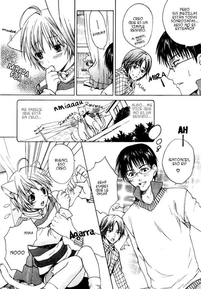 Neko Life page 4 full