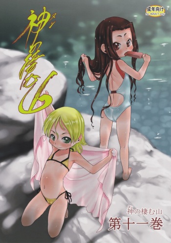 [P.A. Project (Teruki Kuma)] Nushi no Sumu Yama Vol. 11 cover