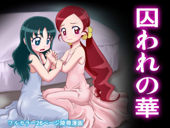 [Majo Saiban (Mion_orz)] Toraware no Hana (Heartcatch Precure!) cover